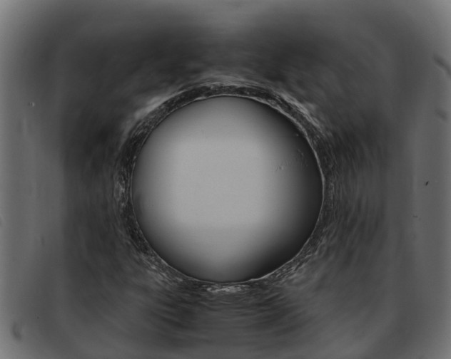 X0000093431303200710120909