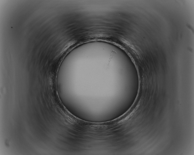 X0000093431305200710120909