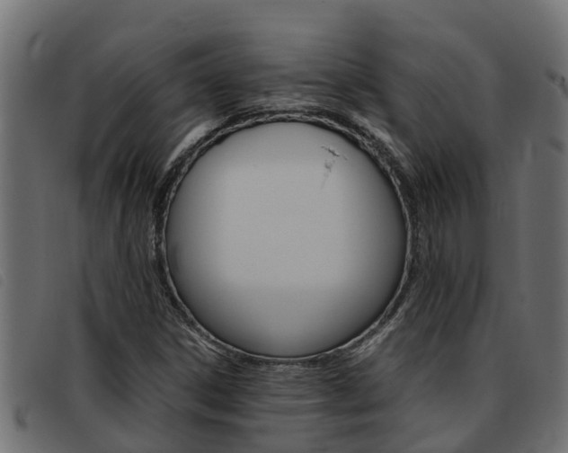 X0000093431306200710120909