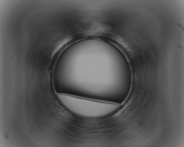 X0000093431309200710120909