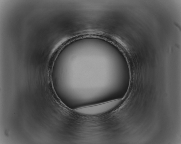 X0000093431310200710120909