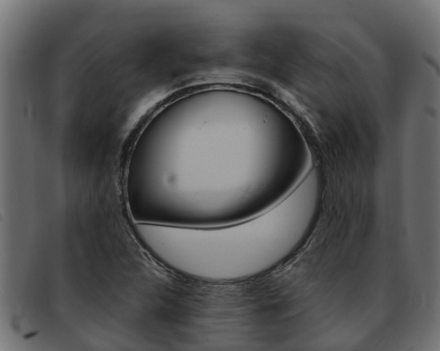 X0000093431312200710120909