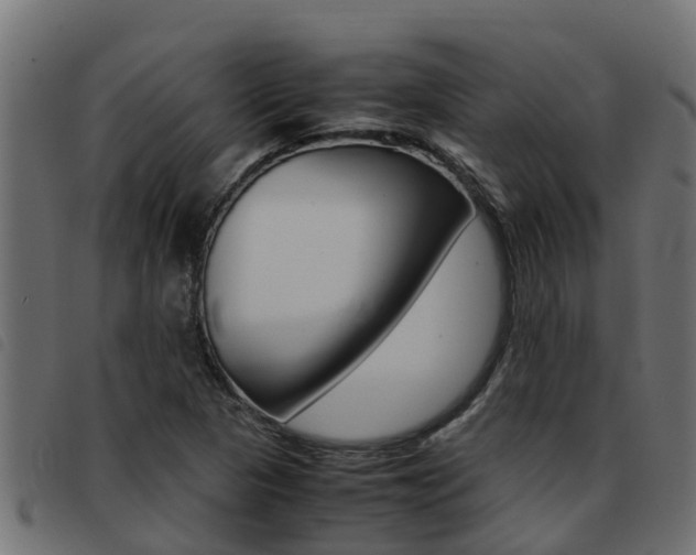 X0000093431313200710120909
