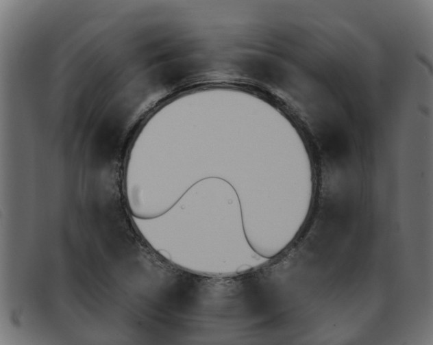 X0000093431314200710120909
