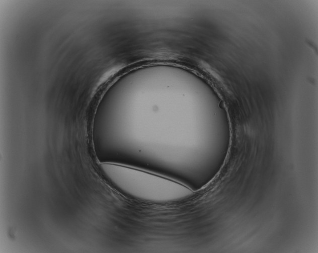 X0000093431315200710120909
