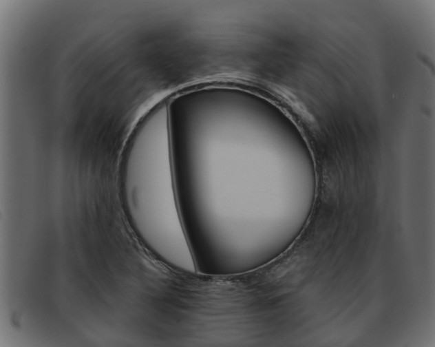 X0000093431316200710120909