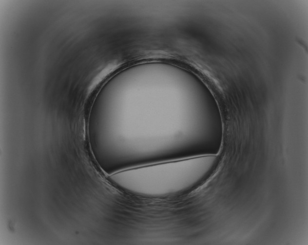 X0000093431317200710120909