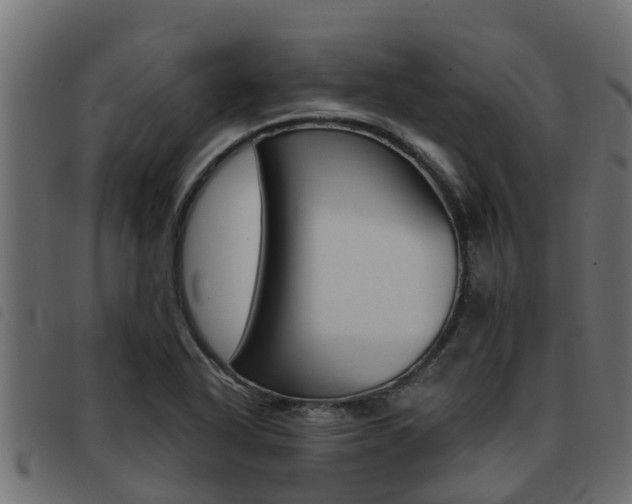 X0000093431318200710120909