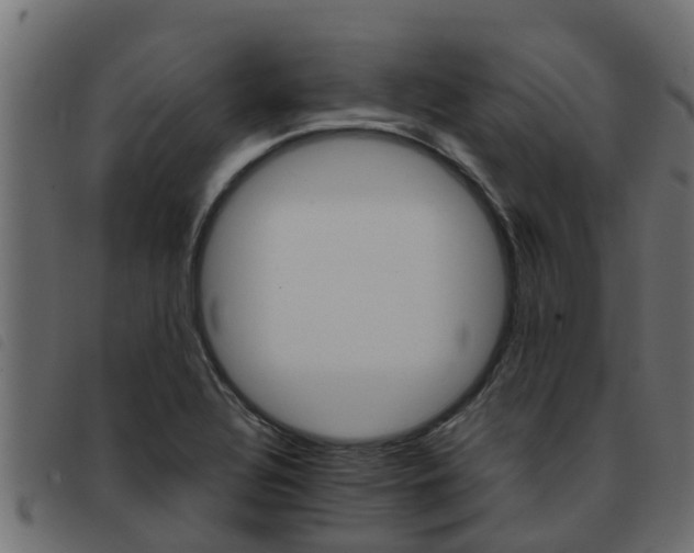 X0000093431320200710120909