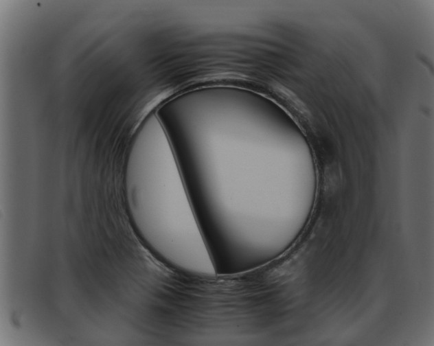 X0000093431321200710120909