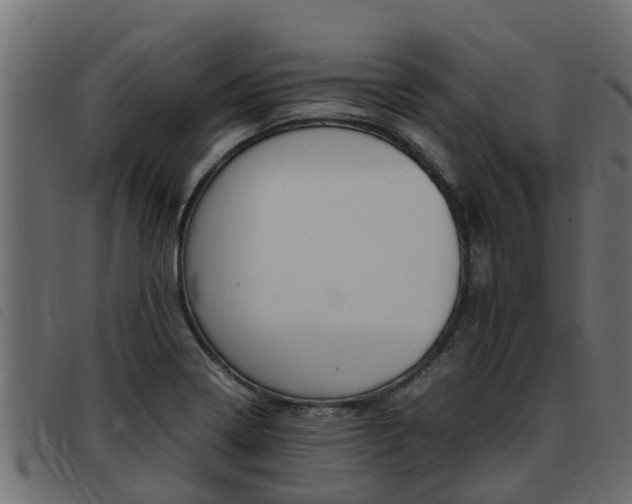 X0000093431322200710120909