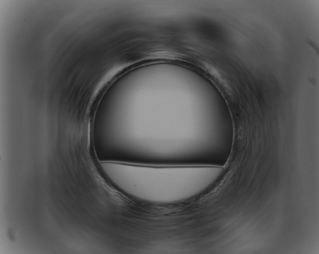 X0000093431323200710120909