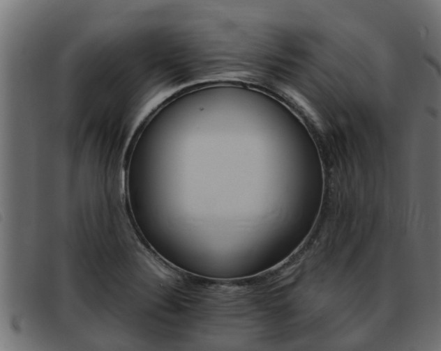 X0000093431324200710120909