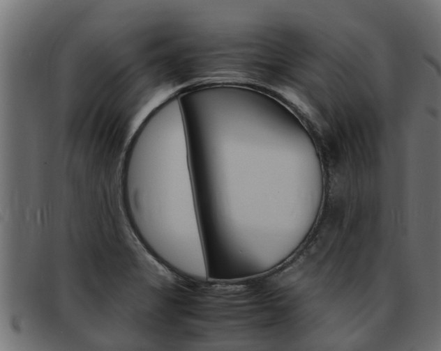 X0000093431325200710120909