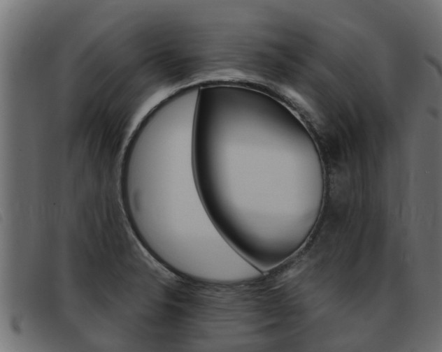 X0000093431326200710120909