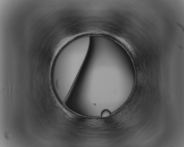 X0000093431327200710120909
