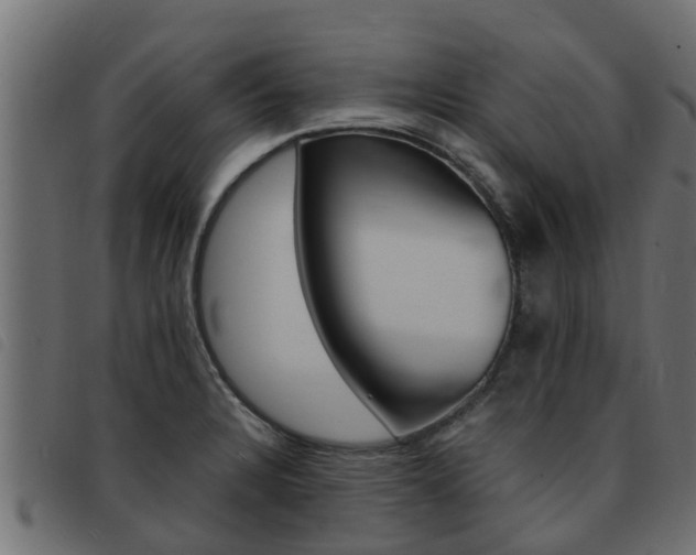 X0000093431328200710120909