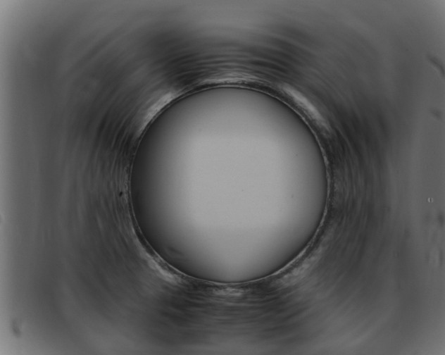 X0000093431329200710120909