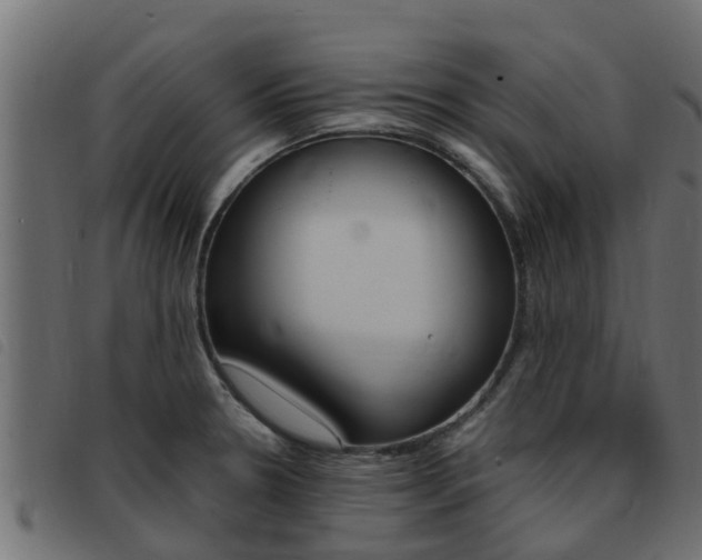 X0000093431330200710120909