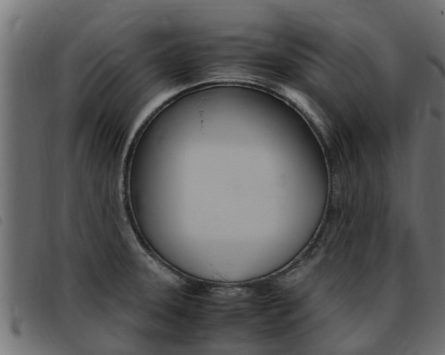 X0000093431331200710120909