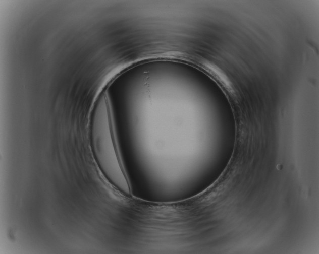 X0000093431332200710120909