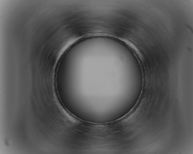 X0000093431333200710120909