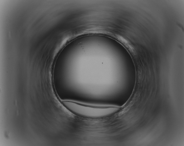 X0000093431334200710120909