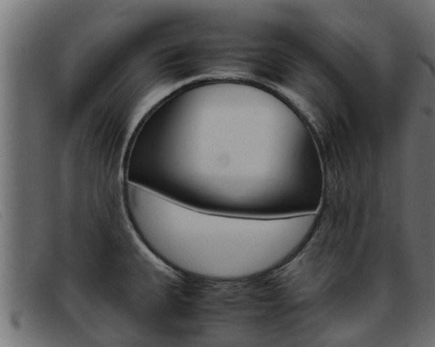 X0000093431335200710120909