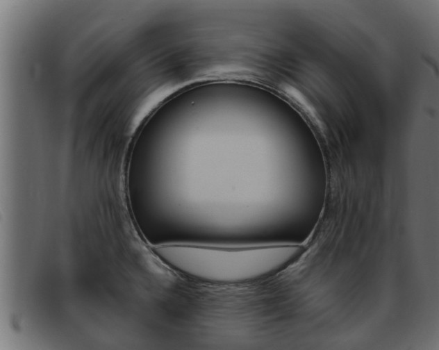 X0000093431336200710120909
