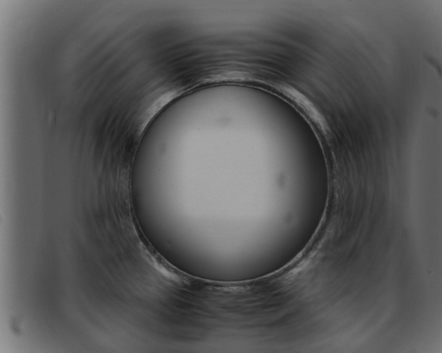 X0000093431337200710120909