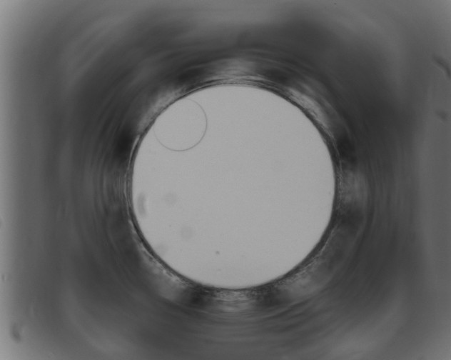 X0000093431338200710120909