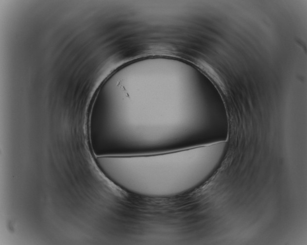 X0000093431339200710120909
