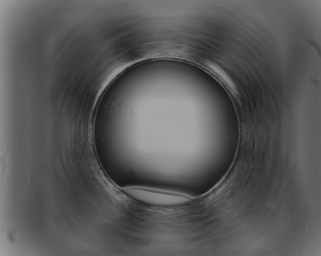X0000093431340200710120909