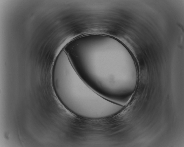 X0000093431341200710120910