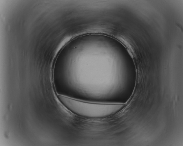 X0000093431342200710120910