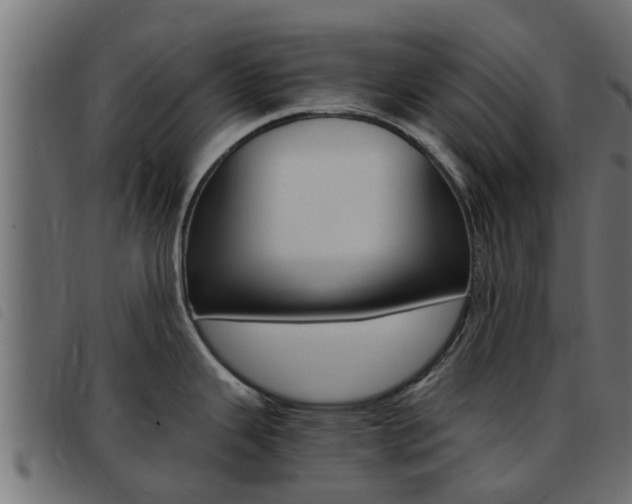X0000093431343200710120910