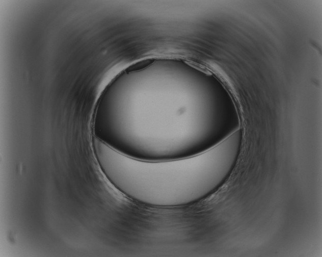 X0000093431344200710120910