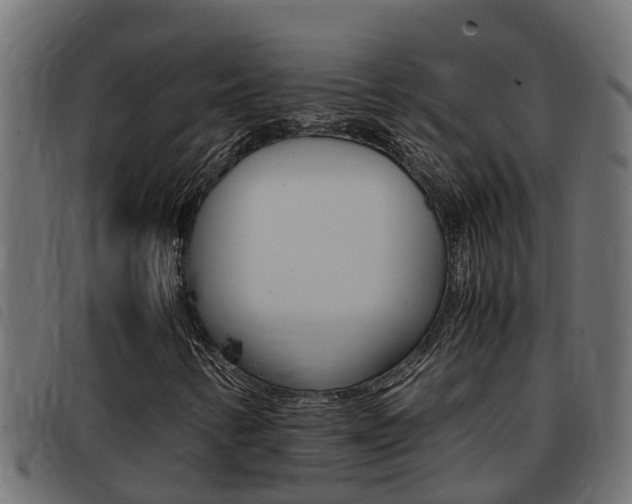 X0000093431346200710120909