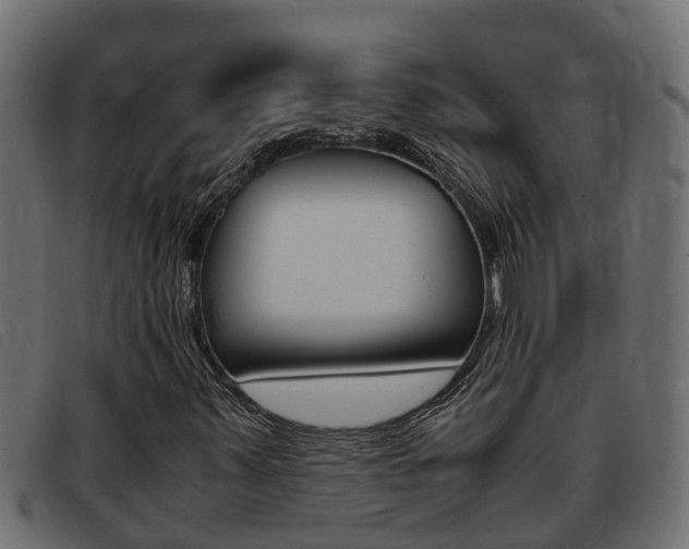 X0000093431347200710120909