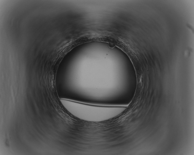 X0000093431348200710120909