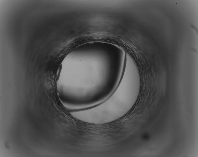 X0000093431349200710120909