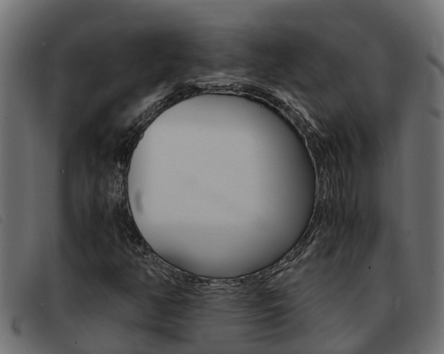 X0000093431350200710120909
