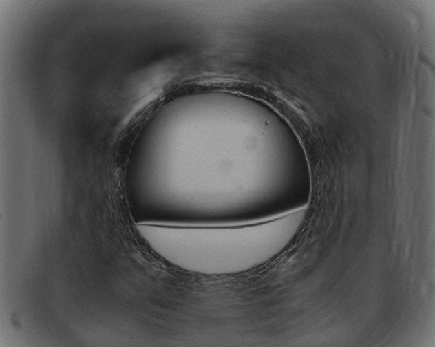 X0000093431351200710120909