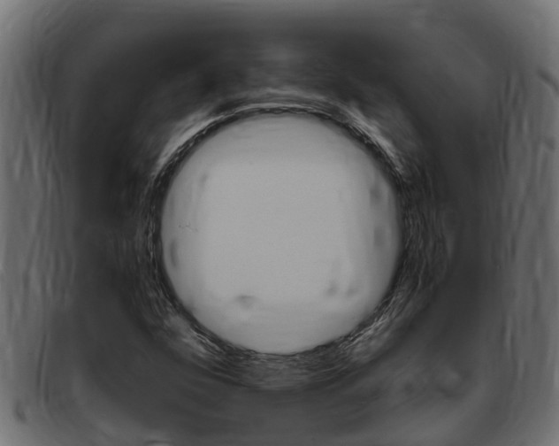 X0000093431352200710120909