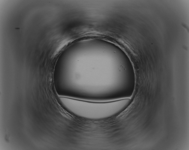 X0000093431355200710120909