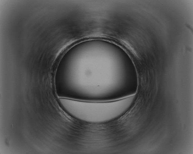 X0000093431356200710120909