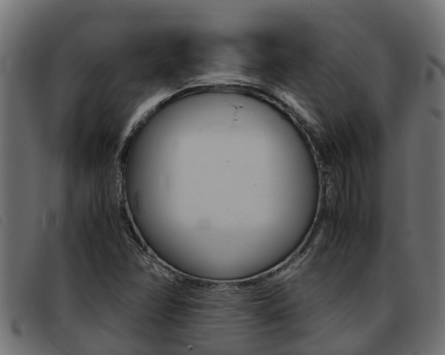 X0000093431358200710120909