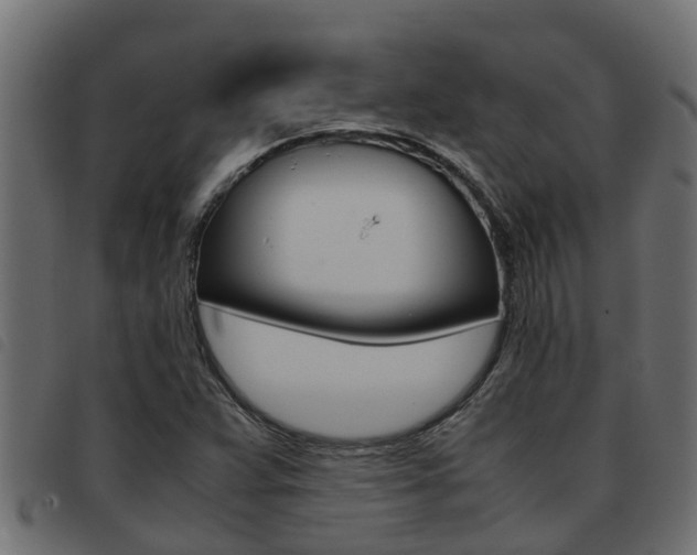 X0000093431359200710120909