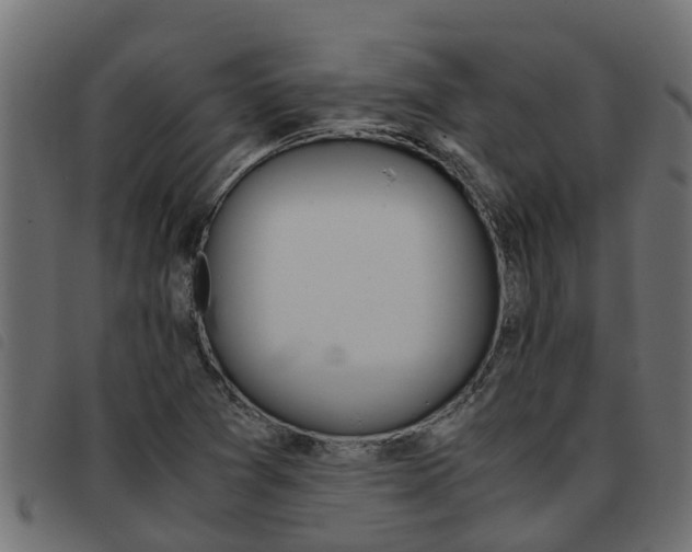 X0000093431361200710120909