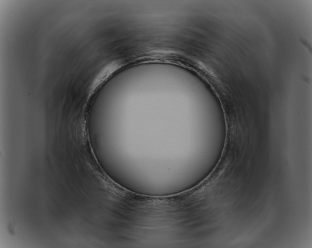 X0000093431362200710120909